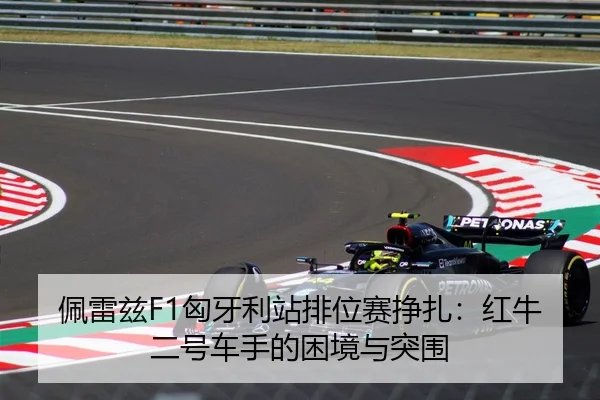 pei-lei-zi-xiong-ya-li-zhan-pai-wei-sai-zheng-zha-hong-niu-er-hao-che-shou-de-kun-jing-yu-tu-wei-2-937.jpg