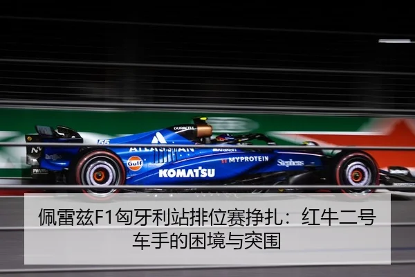 pei-lei-zi-xiong-ya-li-zhan-pai-wei-sai-zheng-zha-hong-niu-er-hao-che-shou-de-kun-jing-yu-tu-wei-3-948.jpg