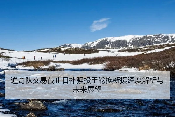 dao-qi-dui-jiao-yi-jie-zhi-ri-bu-qiang-tou-shou-lun-huan-xin-yuan-shen-du-jie-xi-yu-wei-lai-zhan-wang-2-967.jpg