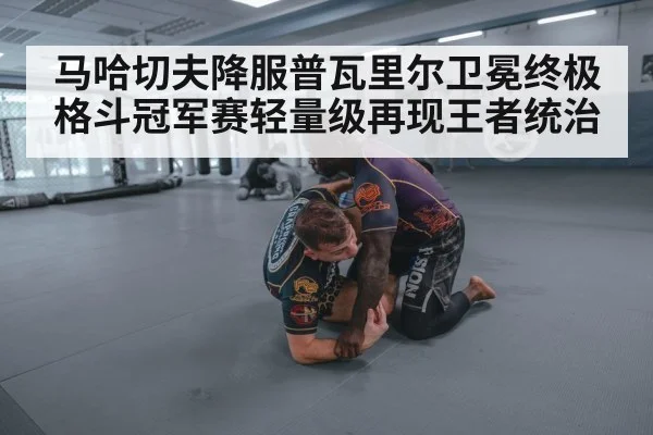 马哈切夫降服普瓦里尔卫冕终极格斗冠军赛轻量级再现王者统治