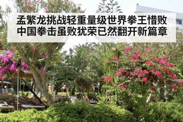 孟繁龙挑战轻重量级世界拳王惜败中国拳击虽败犹荣已然翻开新篇章