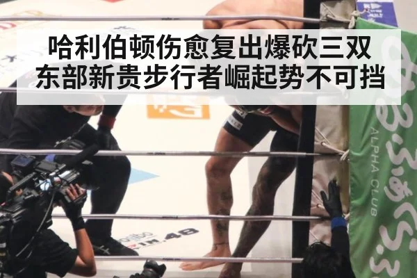 哈利伯顿伤愈复出爆砍三双 东部新贵步行者崛起势不可挡